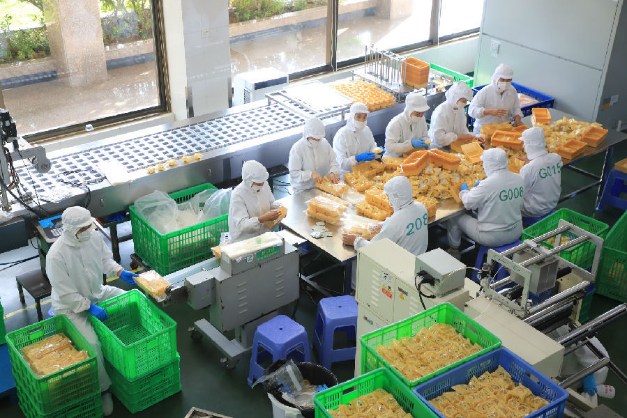 蚌埠食品工厂摄像头监控安装